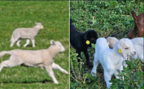 With spring sales approaching, are you prepared?