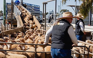Managing fertiliser and fuel supply challenges