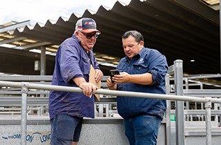 Improved <strong>eNVD</strong> access for transporters