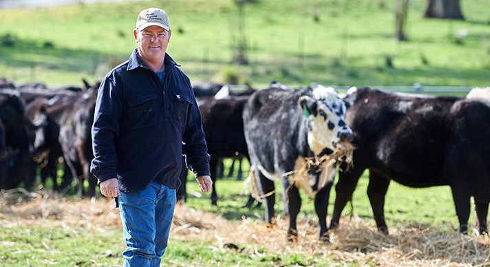 Digital consignments a big win for Yass producer