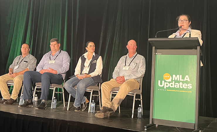 MLA Updates 2023: Catch up on the action