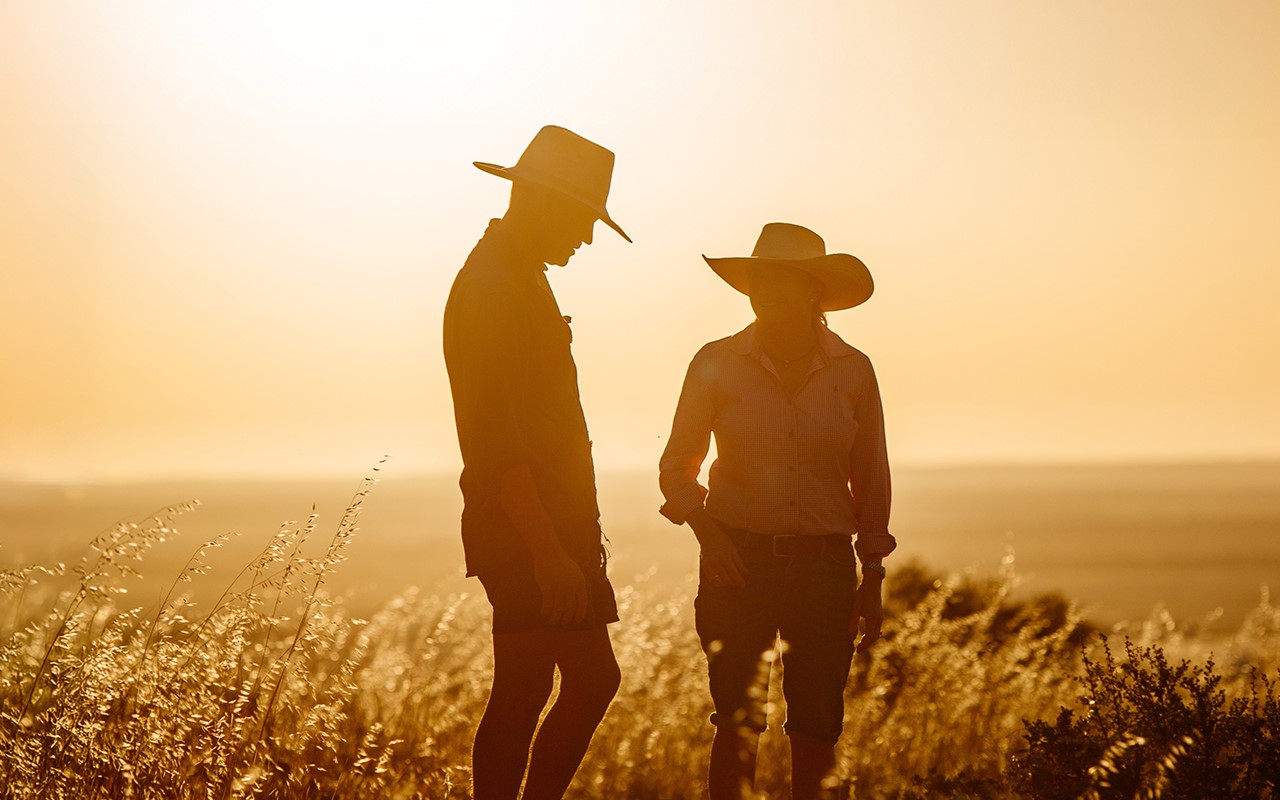 A roadmap to profitability and productivity