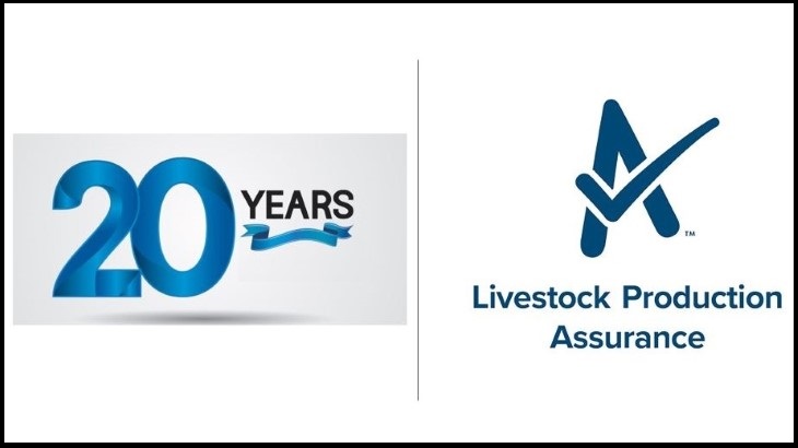 Twenty years of LPA