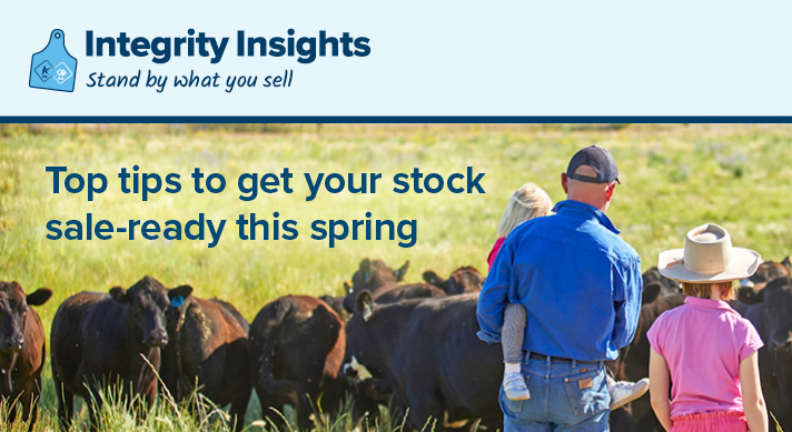 Top tips to get your stock sale-ready this spring