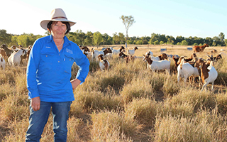 Getting goat transport right
