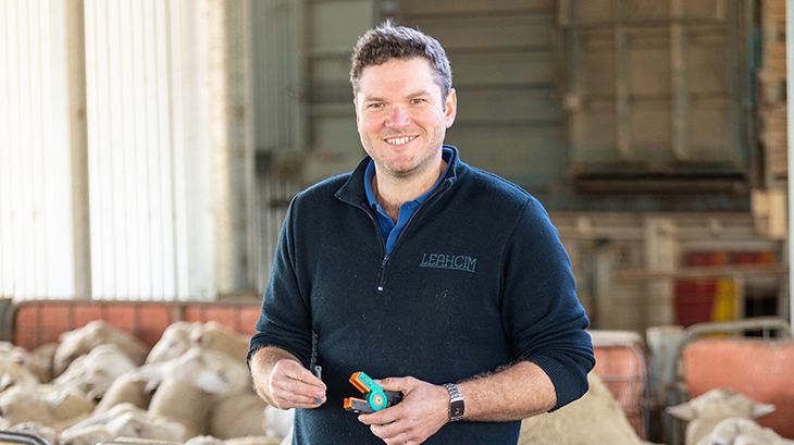 Efficiency and accuracy ride on back of sheep eID