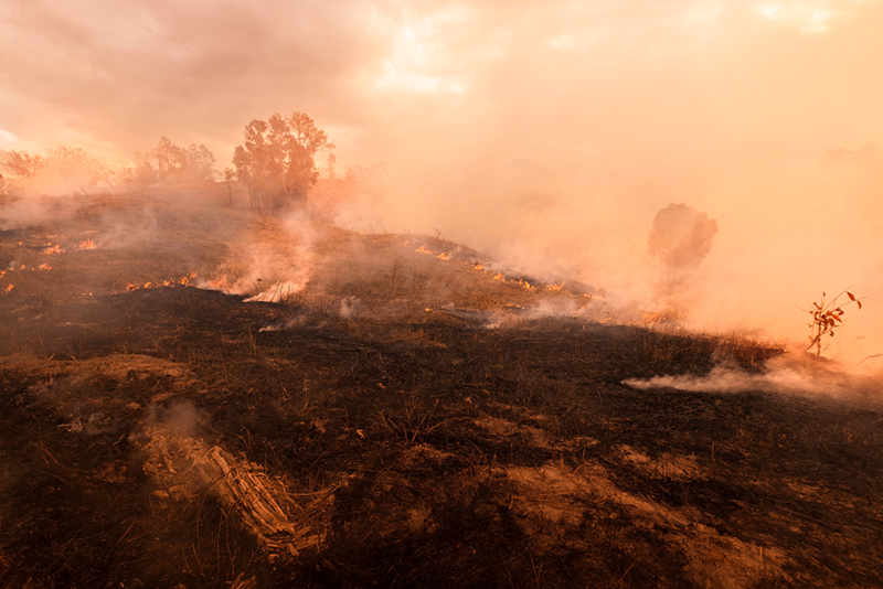 Prepare for increased risk of bushfires during spring