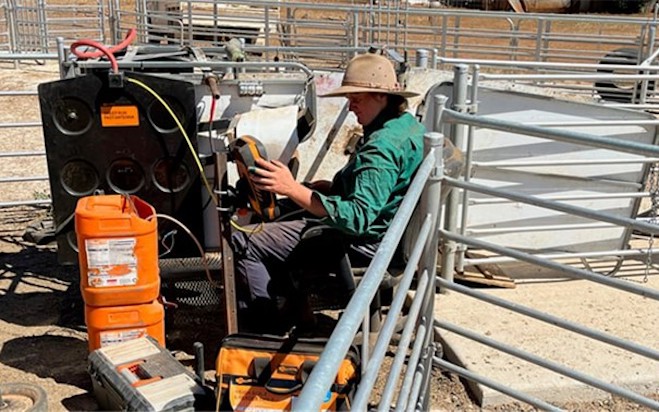 Detail in data delivers consistent lambing results