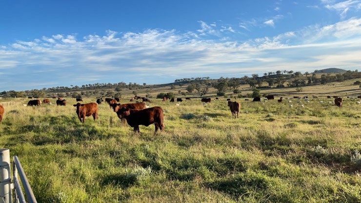 Enabling third-party access to your integrity systems