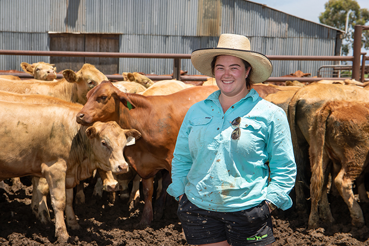 Using integrity systems to plan for the future