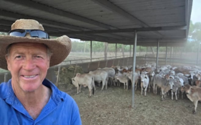 Training them young: Weaner education pays off