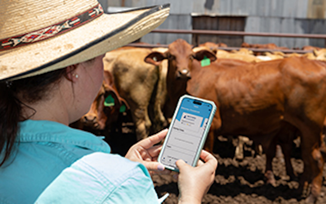 A review of the NVD is now underway