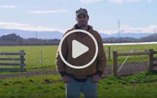 Streamlining your enterprise with <strong>eNVDs</strong>