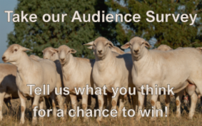 Share your thoughts and go in the draw for a $150 voucher