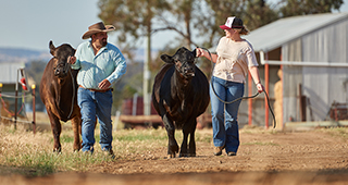Livestock traceability: from paddock to show ring