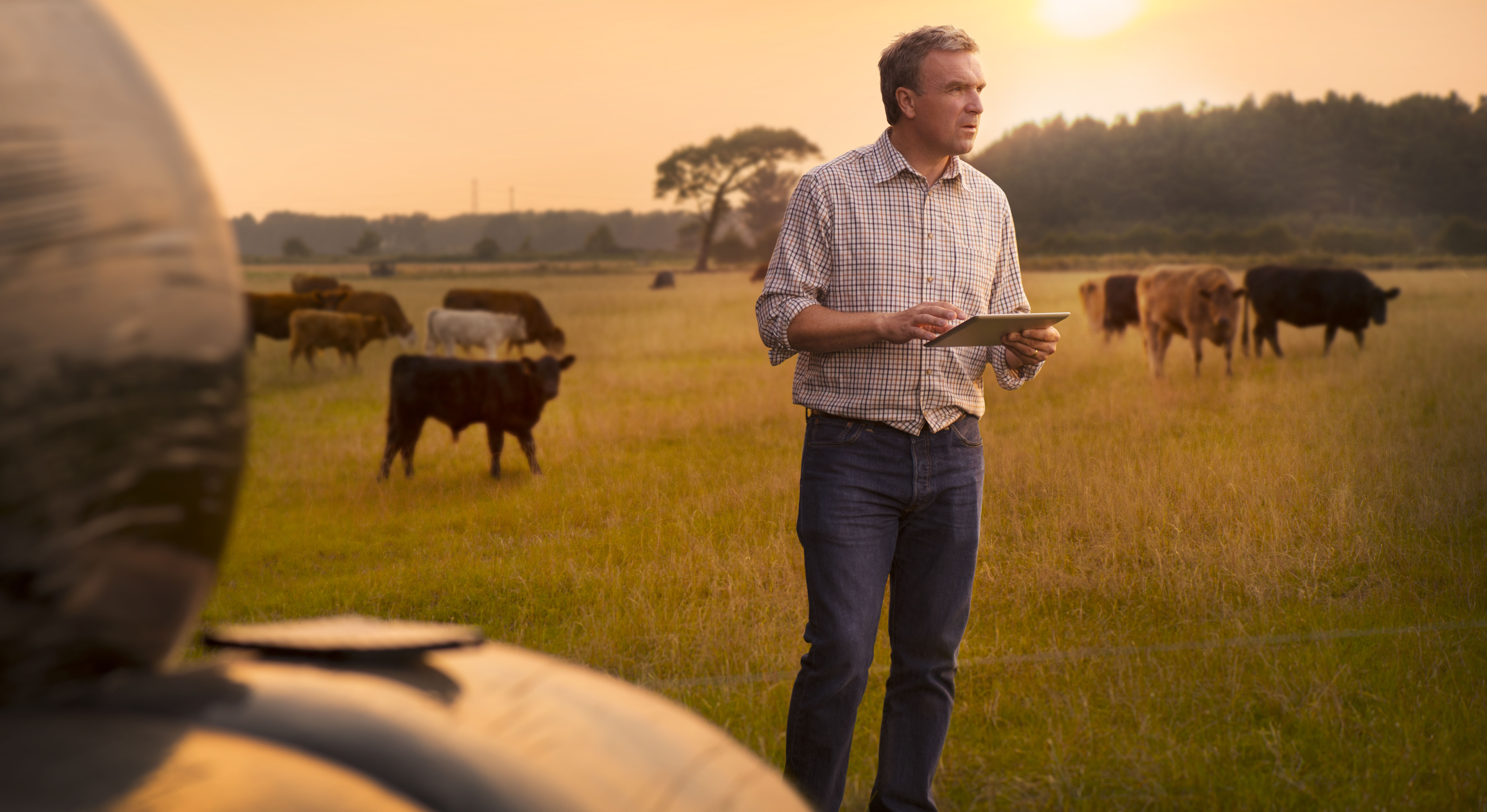 New data exchange to revolutionise Australian agrifood sector