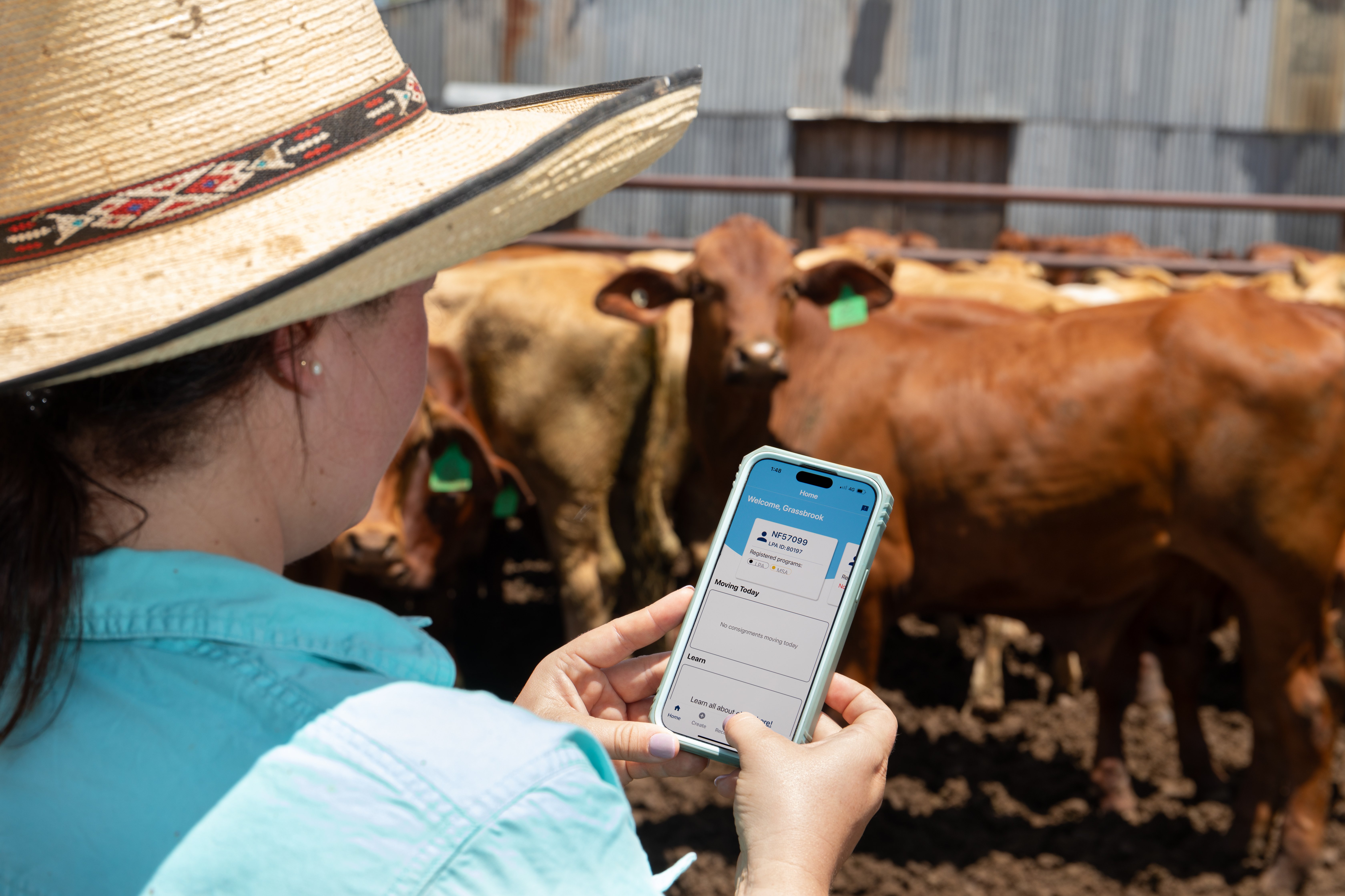 NVDs &amp; eNVDs: Switching to digital has never been easier