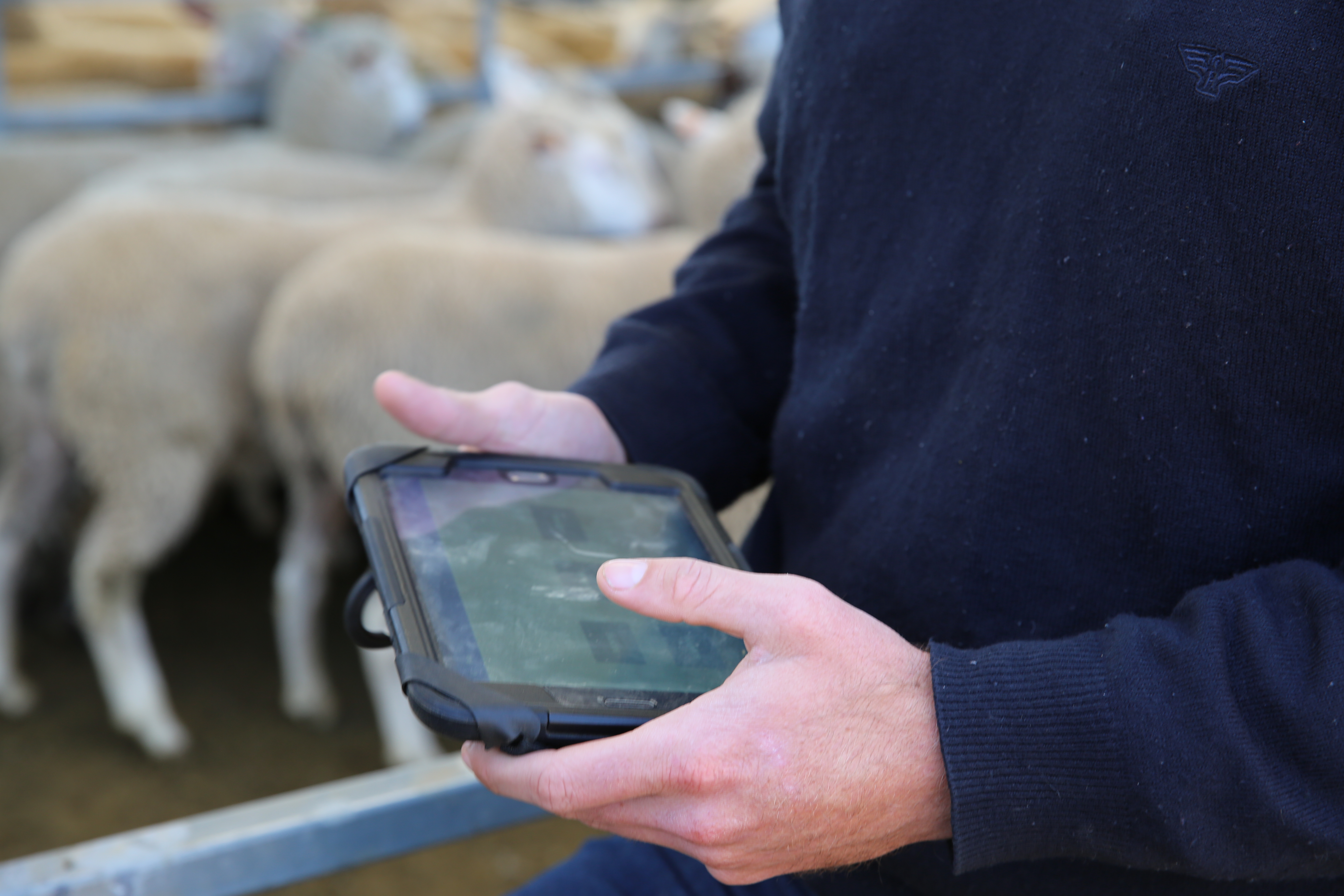 Your input needed to better manage <strong>biosecurity</strong>