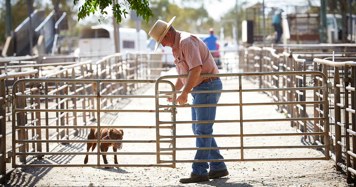 Webinar recordings 2022: Biosecurity support in your state or territory(2)