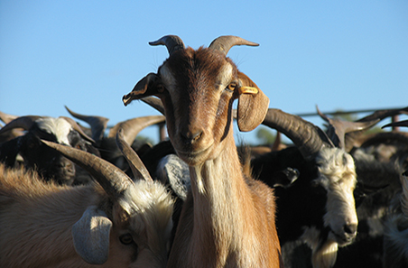 On the banks of technology