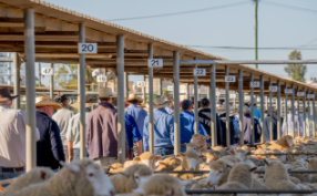Collaboration helping drive the switch to digital
