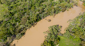Flood information for livestock producers