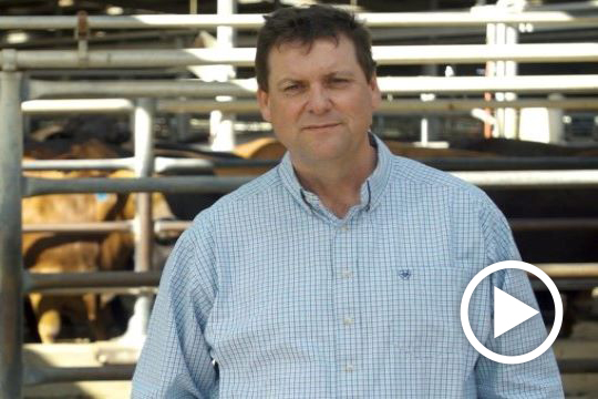 The  real value of red meat integrity