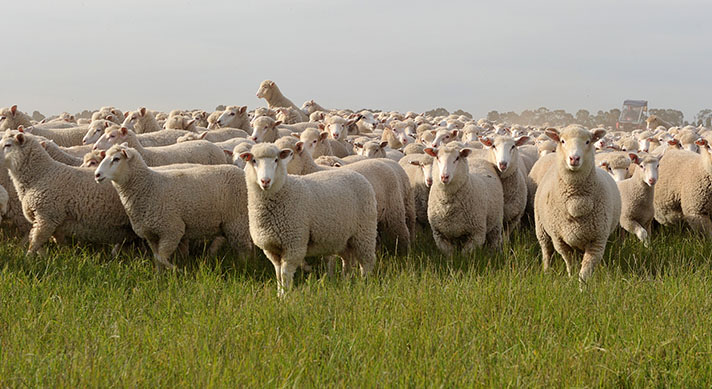 Pilot study into enhancing producer feedback