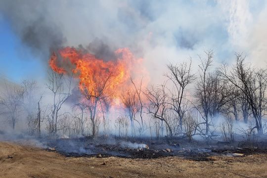 LPA extension for fire-affected producers