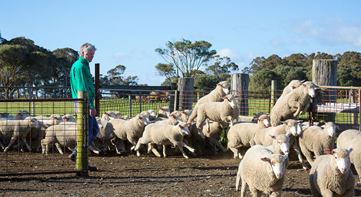 Need NVDs in a hurry?