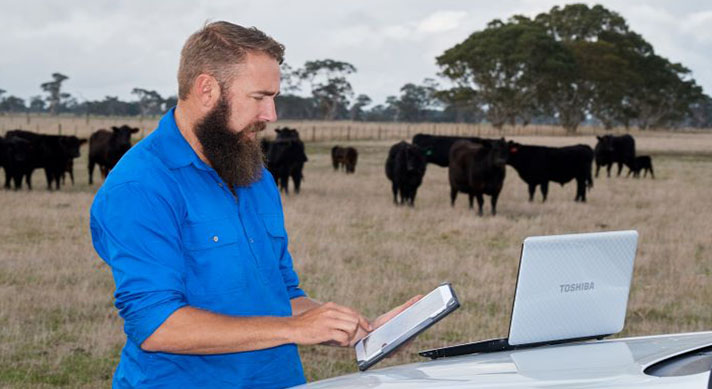 Option for remote audits now available