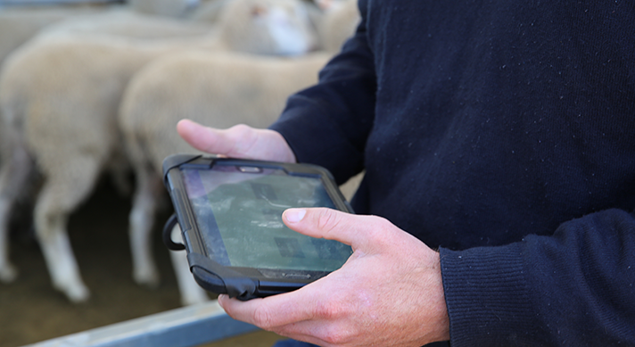 New design system to inform <strong>eNVD</strong> improvements