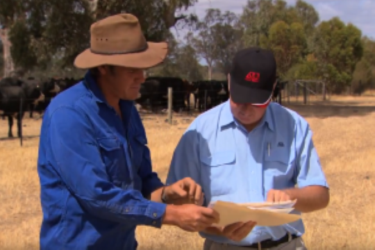 Timely LPA tips for producers