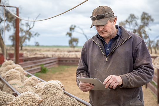 Encouraging uptake of new <strong>National</strong> Vendor Declaration