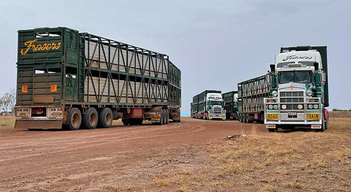 Frasers Livestock Transport