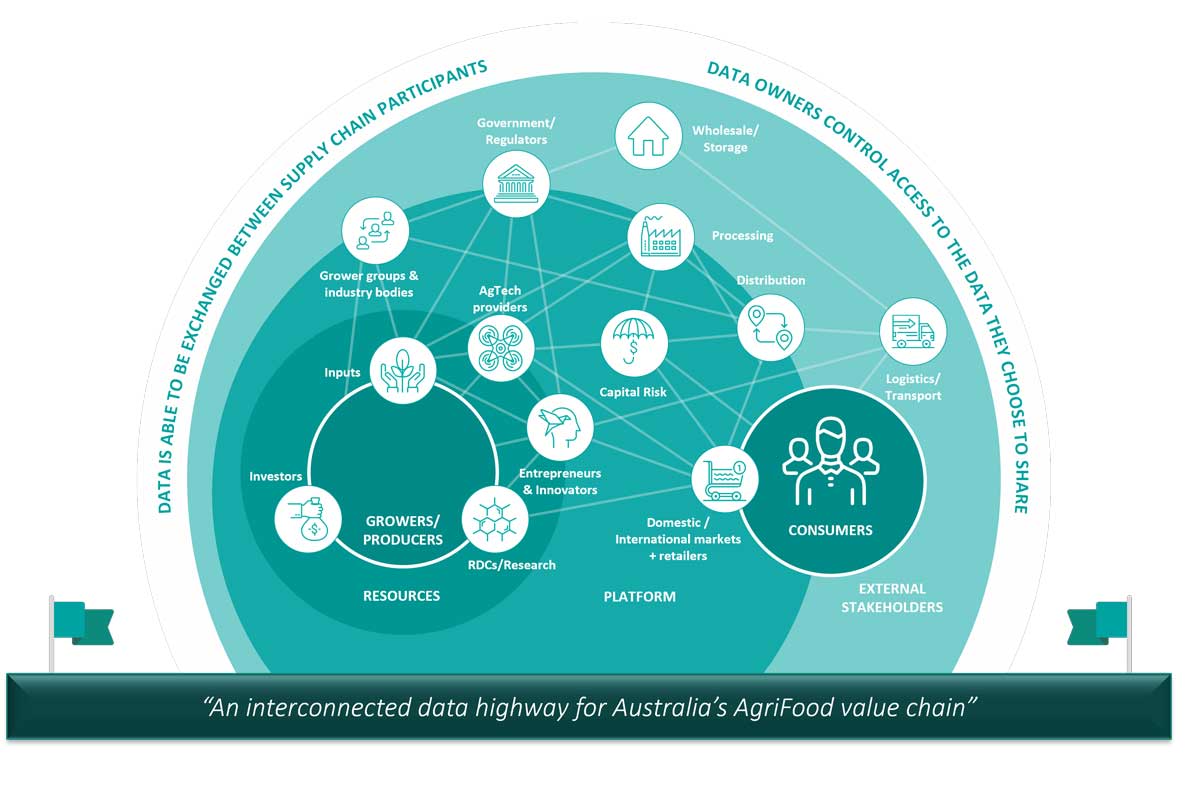 Vision of AAFDX