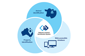 View and record animal movements on NLIS