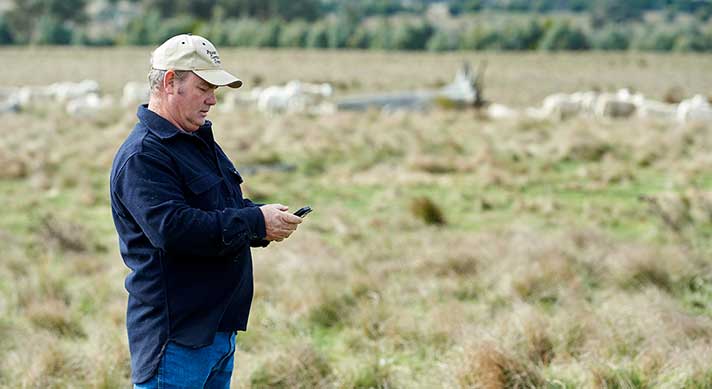 Producer standing in field with phone in hands