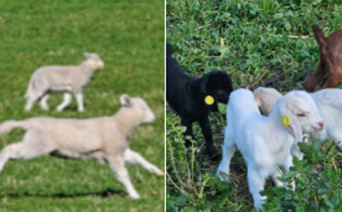 With spring sales approaching, are you prepared?