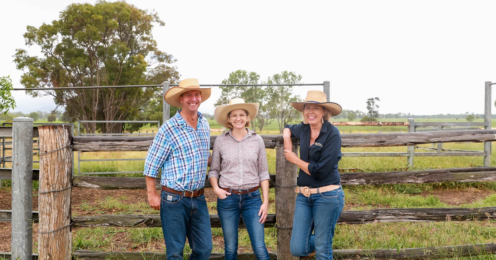 NLIS the key to proving and improving your herd’s worth