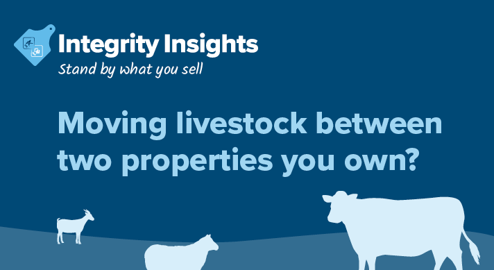 One owner, two properties: what are your responsibilities?