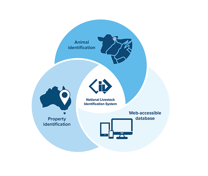 How does the NLIS work? How does the NLIS work?