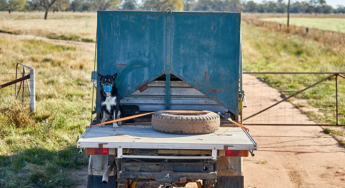 Biosecurity