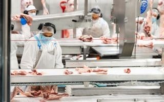 Hook tracking to deliver enhanced carcase feedback