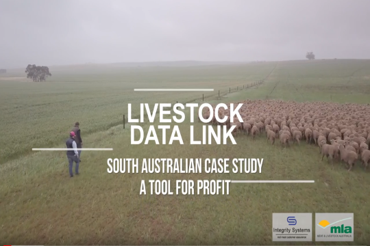 Livestock Data Link producer case study - South Australia