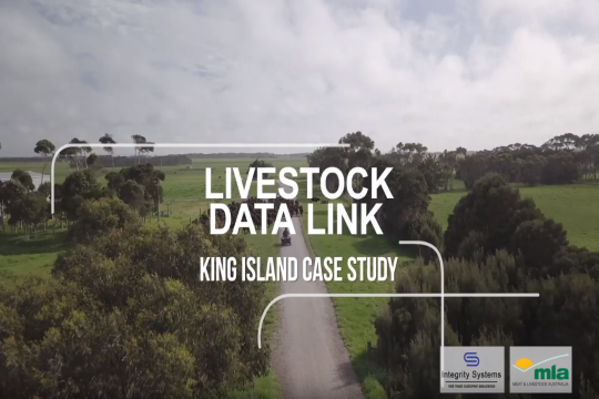Livestock Data Link producer case study - King Island