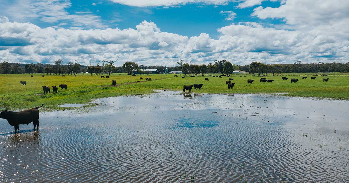 Natural disasters: top tips for planning and recovery