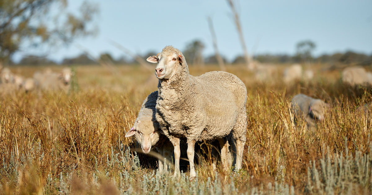 Three ways to be biosecurity ready