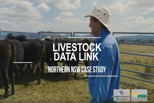 Livestock Data Link producer case study - Northern New South Wales