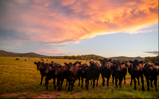 Secure your EU access: Share your geolocation via LPA now